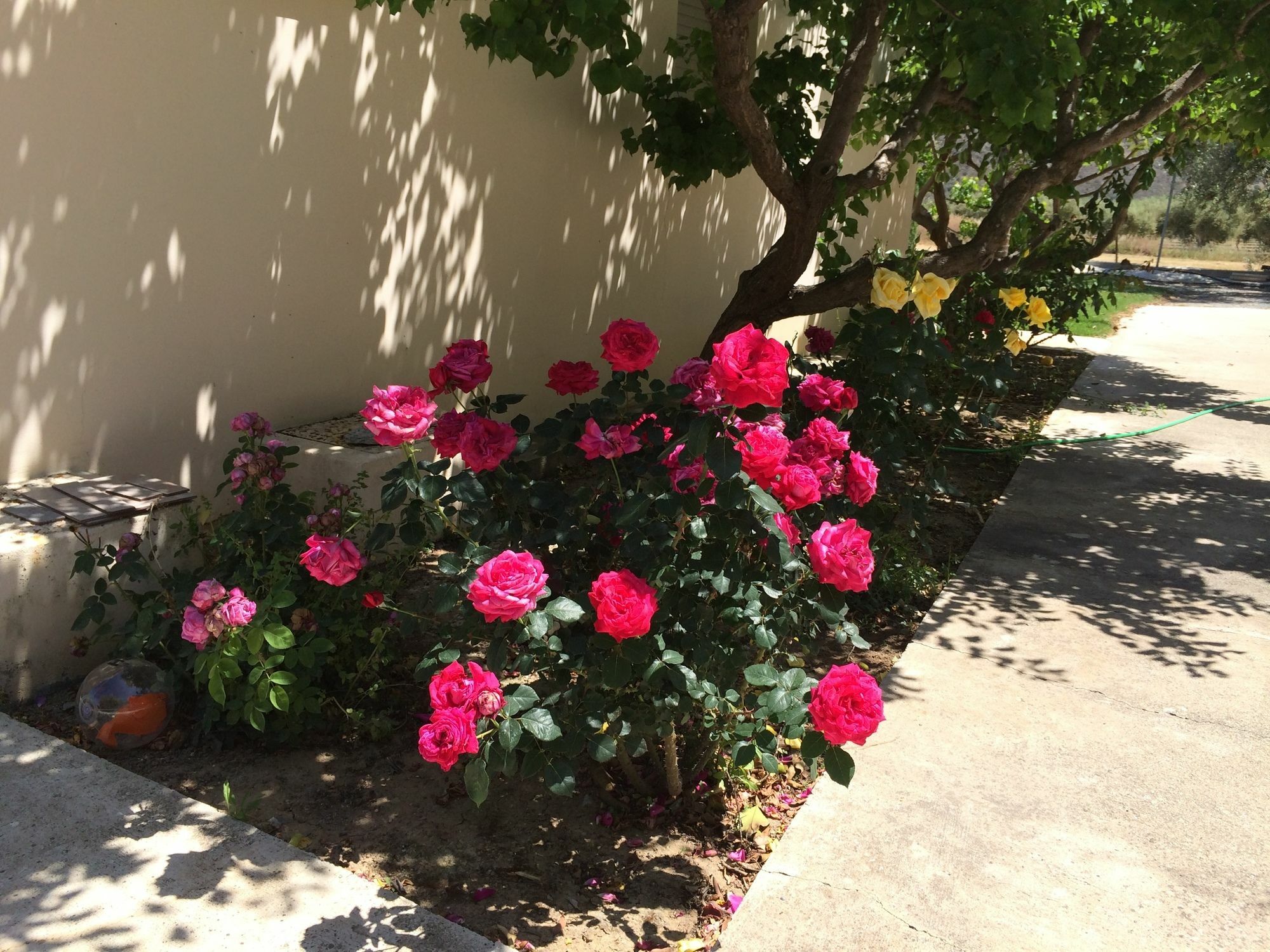 Himonas Apartments Pissouri Exterior foto